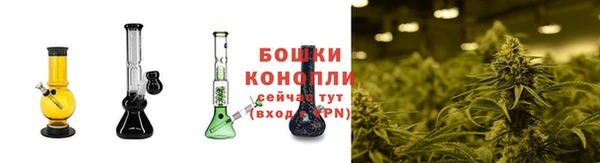 гидропоника Абинск