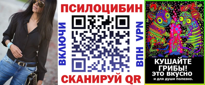 гидра   Берёзовка  Галлюциногенные грибы ЛСД 
