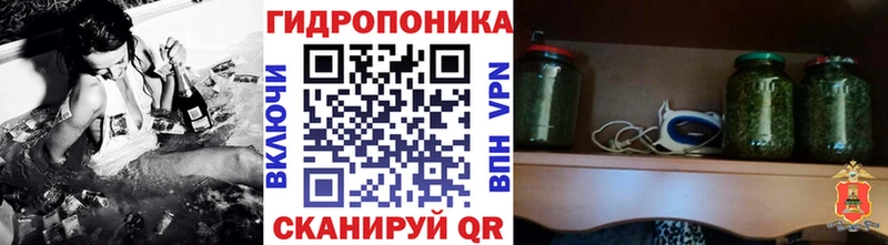 Каннабис конопля Берёзовка